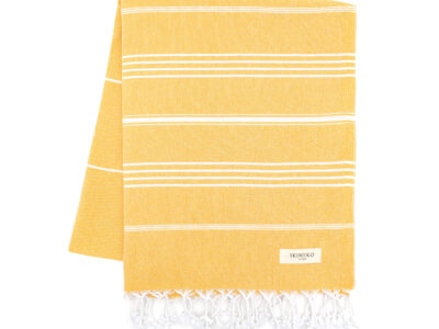 1_PSM-4801_53833_BumbleBee